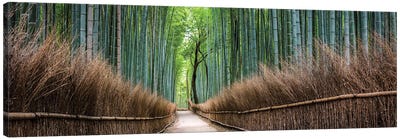 Arashiyama Bamboo Forest Canvas Art Print - Japanese Décor