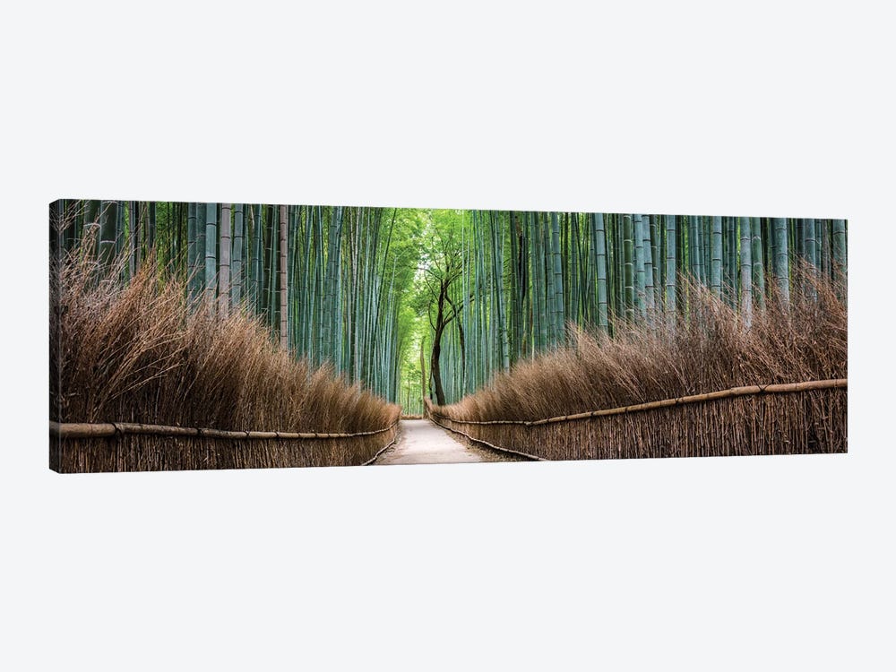 Arashiyama Bamboo Forest by Jan Becke 1-piece Canvas Art Print
