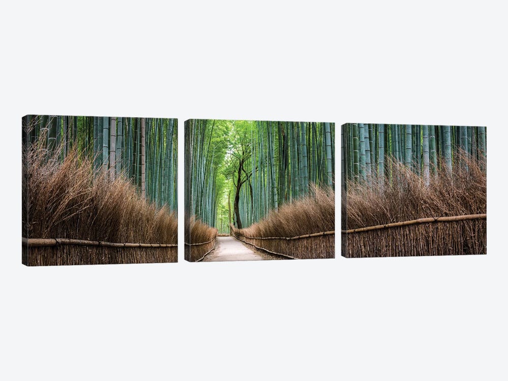 Arashiyama Bamboo Forest by Jan Becke 3-piece Canvas Art Print