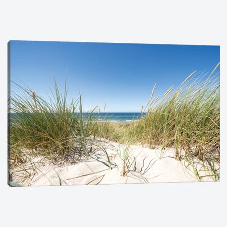 European dune grass at the North Sea coast Canvas Print #JNB513} by Jan Becke Art Print