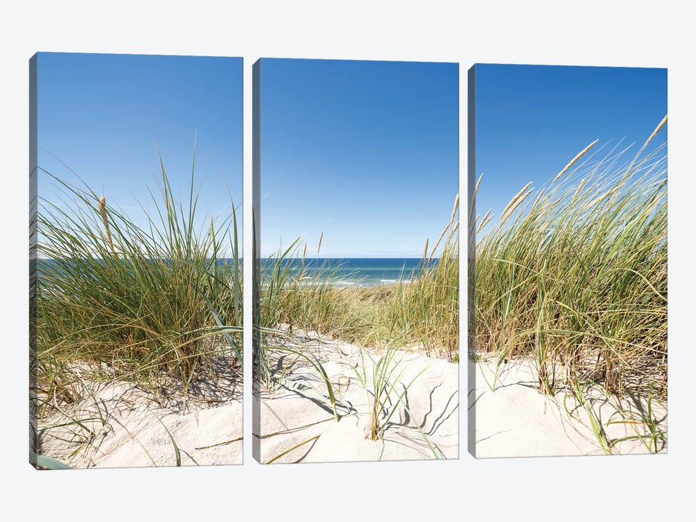 European dune grass at the North Sea coast by Jan Becke 3-piece Art Print