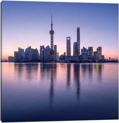 Pudong skyline with Oriental Pearl Tower, Shanghai, China Canvas Art Print - Shanghai Art