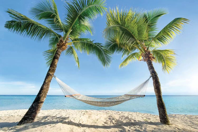 Hammock Between Two Palm Trees