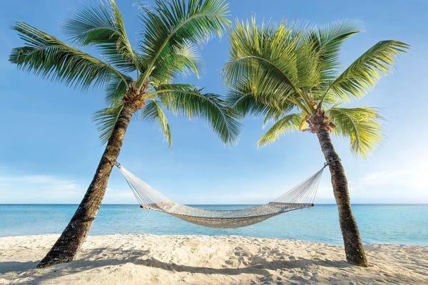 Large Coastal Art - Canvas Prints: Hammock Between Two Palm Trees by Jan Becke