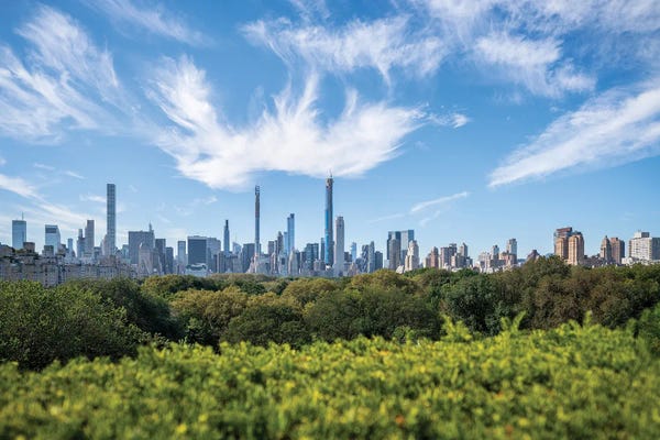 Manhattan: Midtown Manhattan skyline and Central Park by Jan Becke
