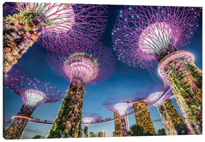 Gardens by the Bay in Singapore Canvas Art Print - Jan Becke