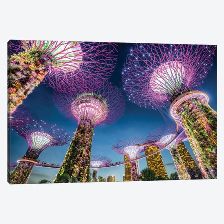 Gardens by the Bay in Singapore Canvas Print #JNB647} by Jan Becke Canvas Artwork