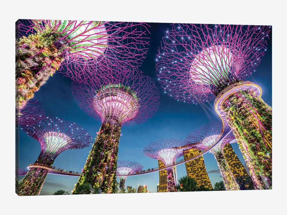 Gardens by the Bay in Singapore by Jan Becke 1-piece Canvas Art