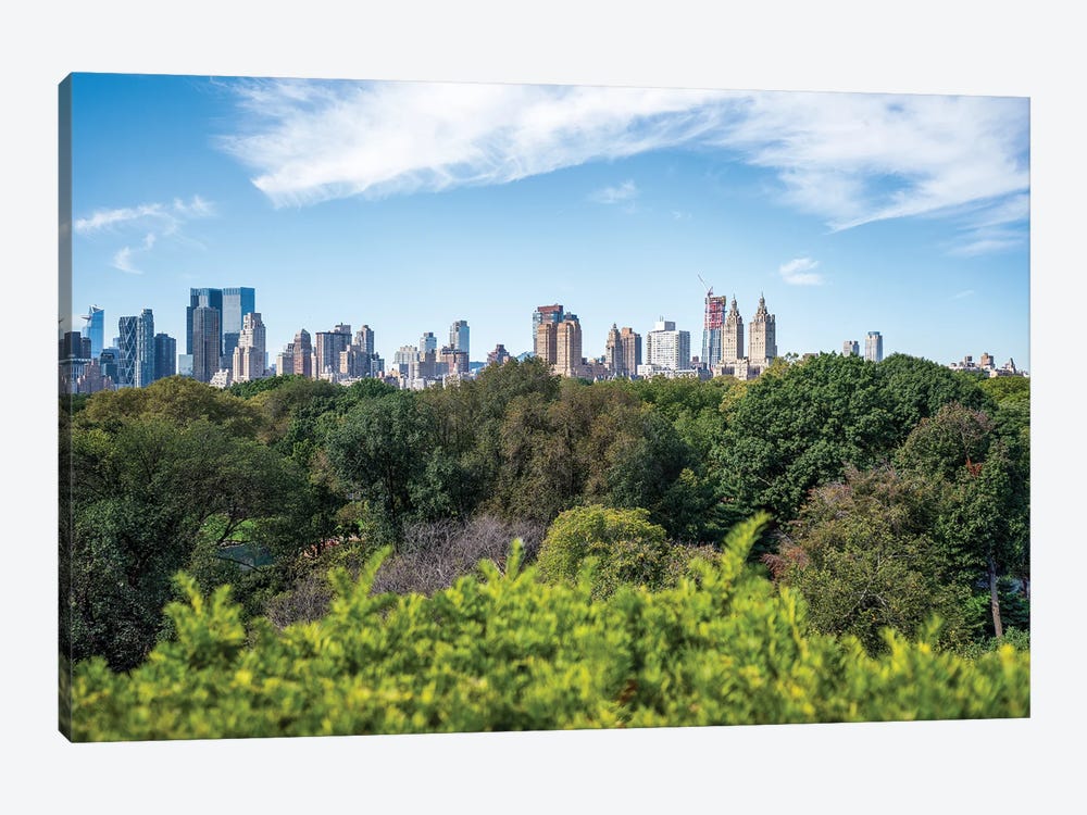 Central Park In Summer, New York City, USA by Jan Becke 1-piece Canvas Artwork