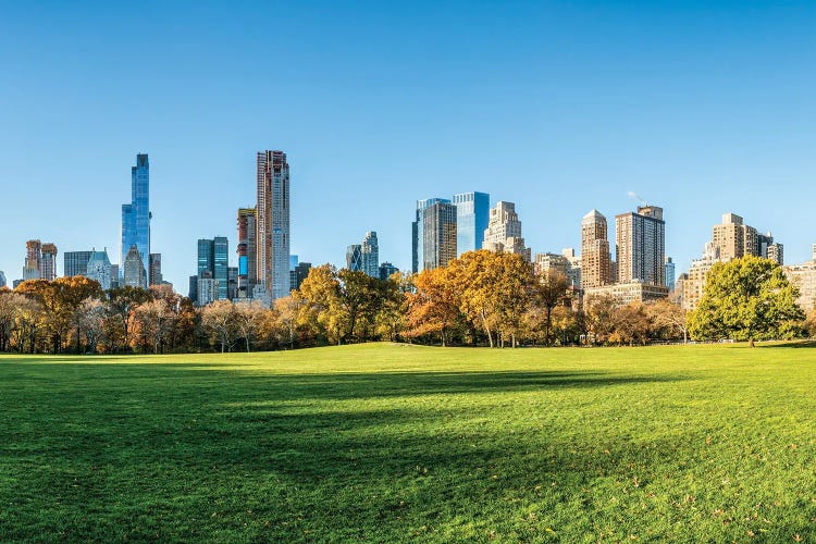 Central Park Sheep Meadow