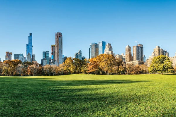 Manhattan: Central Park Sheep Meadow by Jan Becke