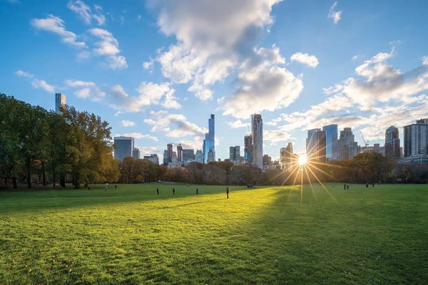 Manhattan: Central Park Sheep Meadow At Sunset by Jan Becke