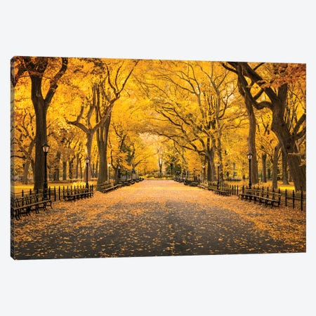 Central Park In Autumn Canvas Print #JNB768} by Jan Becke Canvas Art