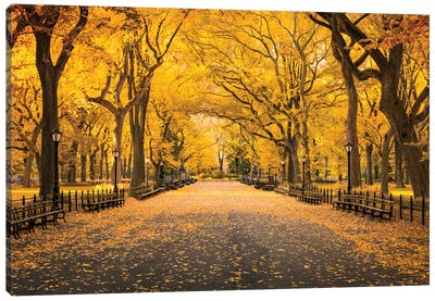 Central Park In Autumn Canvas Art Print - Trail, Path & Road Art
