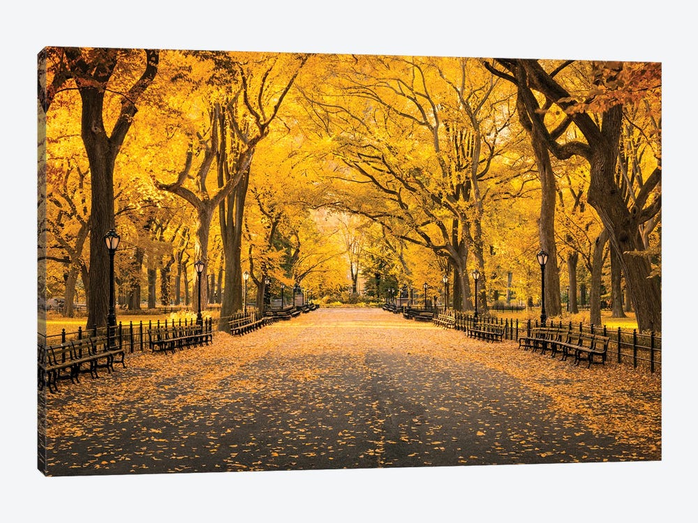 Central Park In Autumn by Jan Becke 1-piece Canvas Art