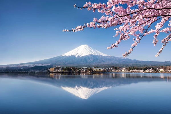Large Photography - Canvas Prints: Mount Fuji In Spring by Jan Becke