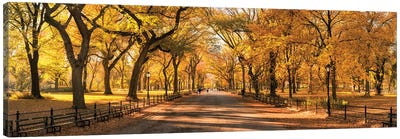 Central Park Panorama In Autumn, New York City, USA Canvas Art Print - Trail, Path & Road Art