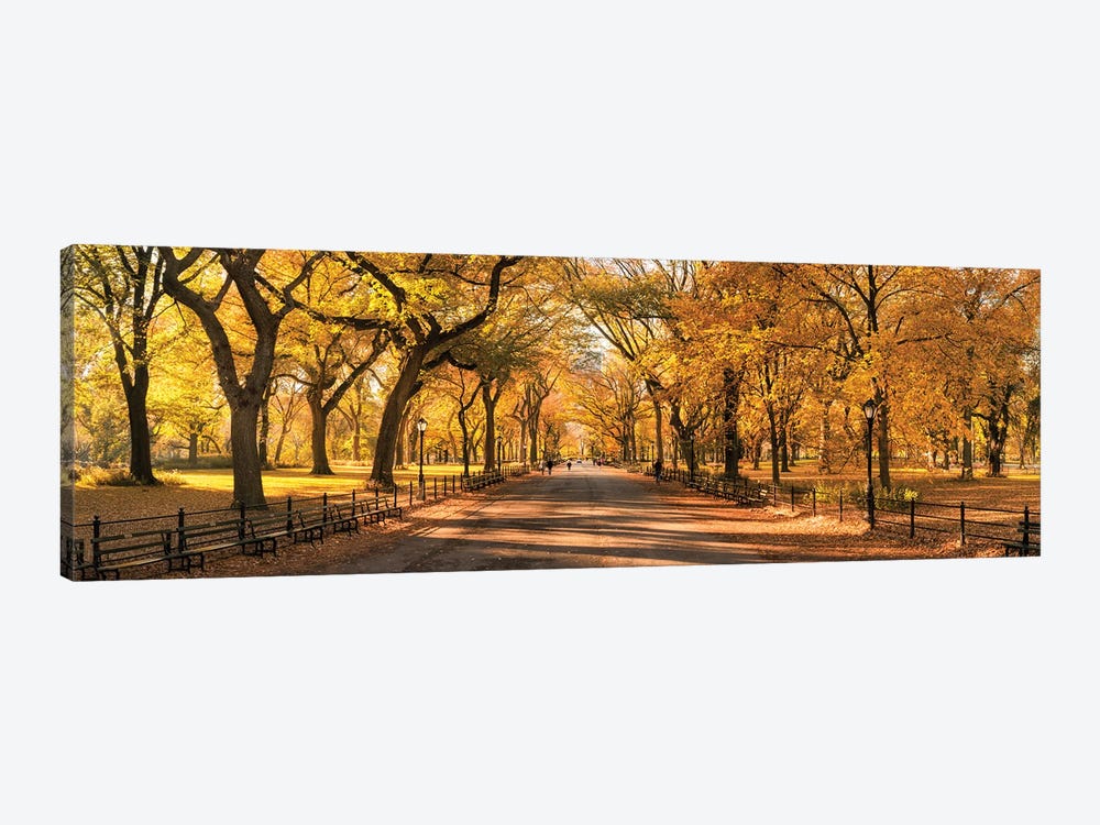 Central Park Panorama In Autumn, New York City, USA by Jan Becke 1-piece Canvas Print