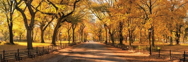 Central Park Panorama In Autumn, New York City, USA