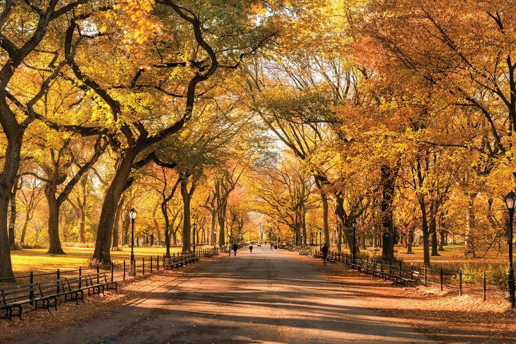 Autumn Colors In Central Park, New York City, USA