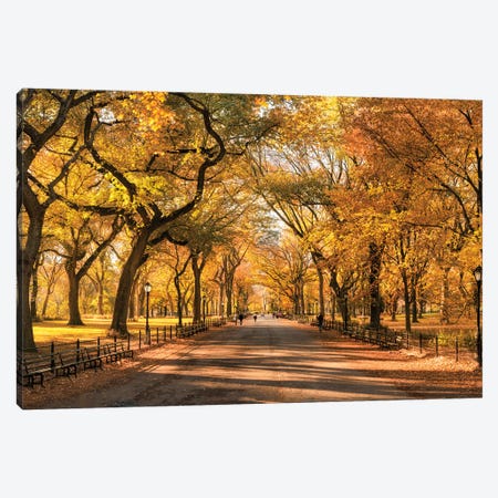 Autumn Colors In Central Park, New York City, USA Canvas Print #JNB804} by Jan Becke Canvas Wall Art