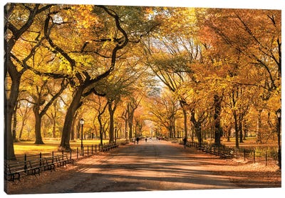 Autumn Colors In Central Park, New York City, USA Canvas Art Print - Trail, Path & Road Art