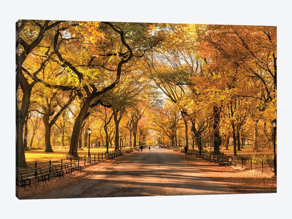 Autumn Colors In Central Park, New York City, USA by Jan Becke 1-piece Canvas Artwork