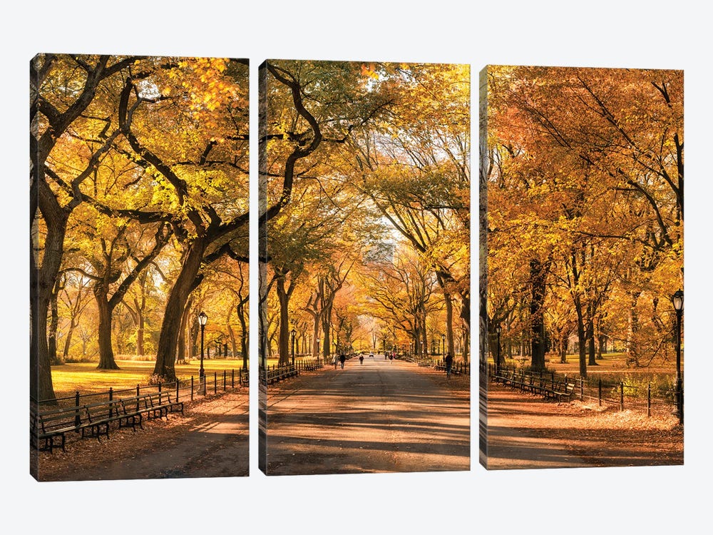 Autumn Colors In Central Park, New York City, USA by Jan Becke 3-piece Canvas Artwork