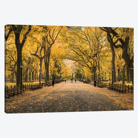 The Mall In Central Park, New York City Canvas Print #JNB805} by Jan Becke Canvas Wall Art