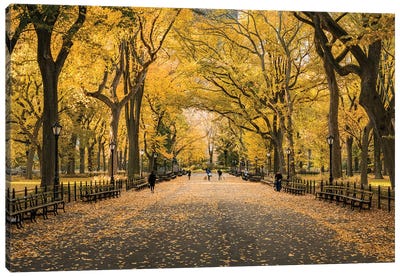 The Mall In Central Park, New York City Canvas Art Print - Central Park
