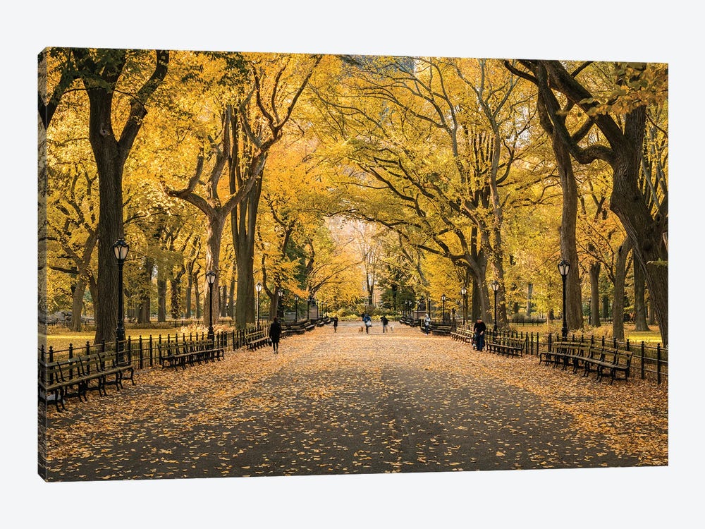 The Mall In Central Park, New York City by Jan Becke 1-piece Canvas Art Print