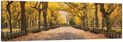 The Mall In Central Park, New York City, USA Canvas Art Print - Central Park