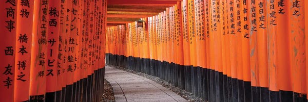Holy & Sacred Sites: Red Torii Gates At The Fushimi Inari Taisha Shrine, Kyoto, Japan by Jan Becke
