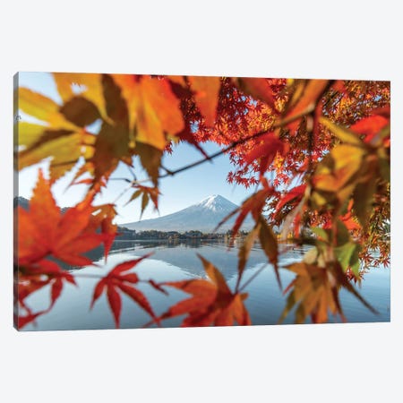 Japanese Maple Tree And Mount Fuji At Lake Kawaguchiko, Yamanashi Prefecture, Japan Canvas Print #JNB843} by Jan Becke Canvas Art Print