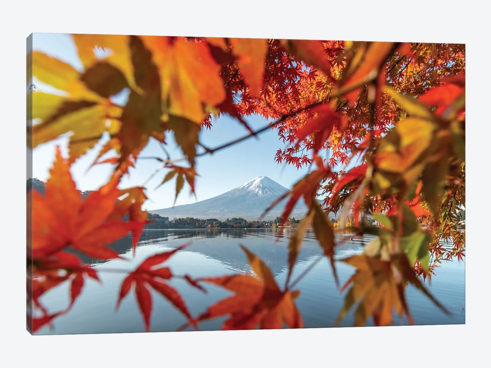Japanese Maple Tree And Mount Fuji At Lake Kawaguchiko, Yamanashi Prefecture, Japan by Jan Becke 1-piece Canvas Print