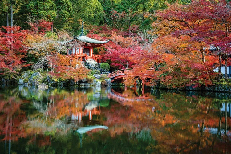 Autumn Leaves At The Daigo-Ji Temple In Kyoto, Japan