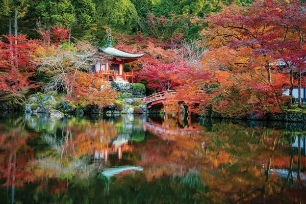 Kyoto: Autumn Leaves At The Daigo-Ji Temple In Kyoto, Japan by Jan Becke