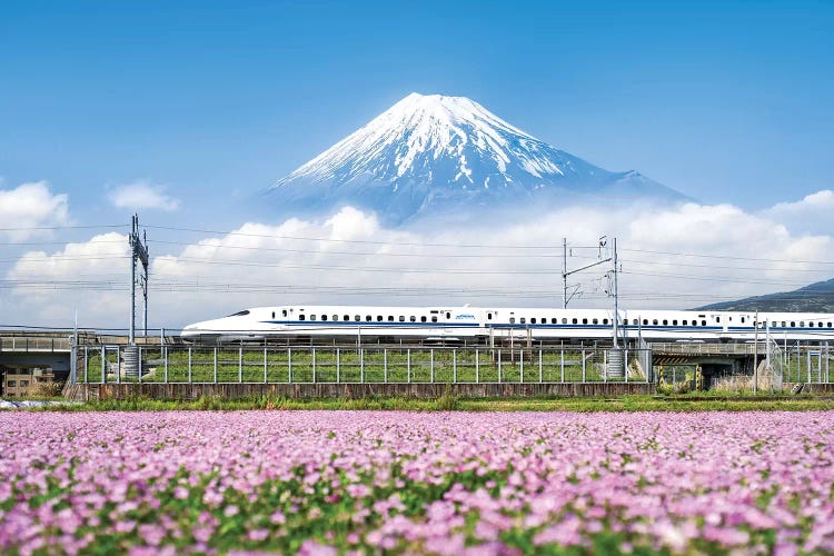 Shinkansen Bullet Train With Mount Fuji