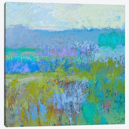 Color Field XLI Canvas Print #JNE1} by Jane Schmidt Canvas Artwork