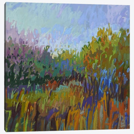 Color Field LXII Canvas Print #JNE2} by Jane Schmidt Canvas Artwork