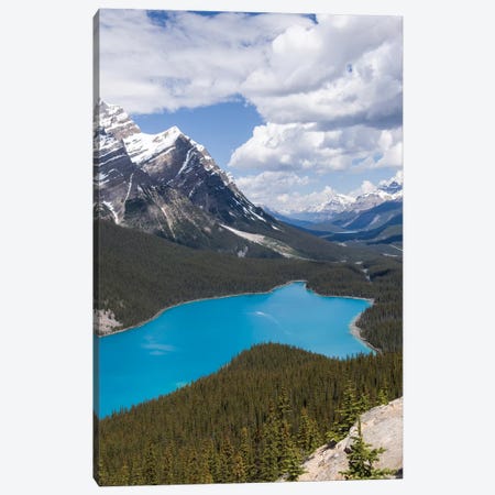 Banff National Park, Alberta, Canada. Peyto Lake Along The Icefields Parkway Scenic Drive. Canvas Print #JNH23} by Janet Horton Canvas Print