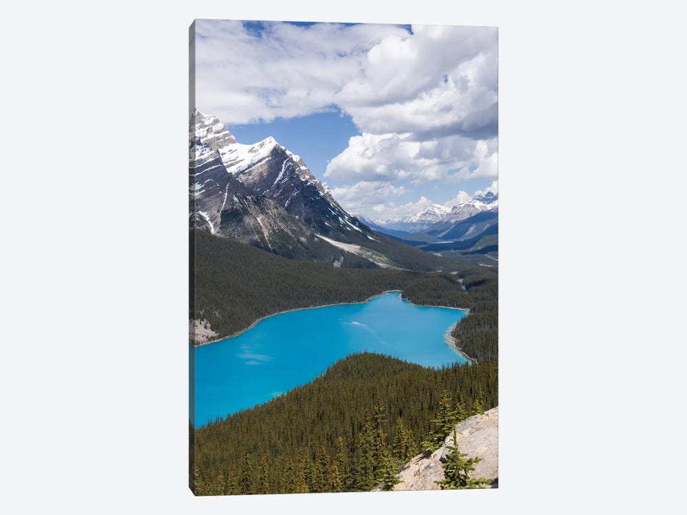 Peyto Lake Along The Icefields Parkway Scenic Drive, Banff National Park, Alberta, Canada by Janet Horton 1-piece Canvas Wall Art