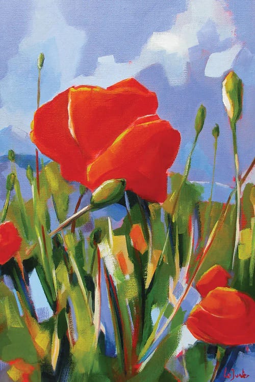 Poppies