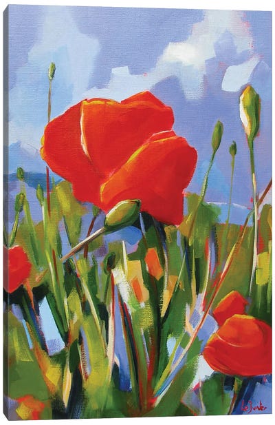 Poppies Canvas Art Print - Jean-Noel Le Junter