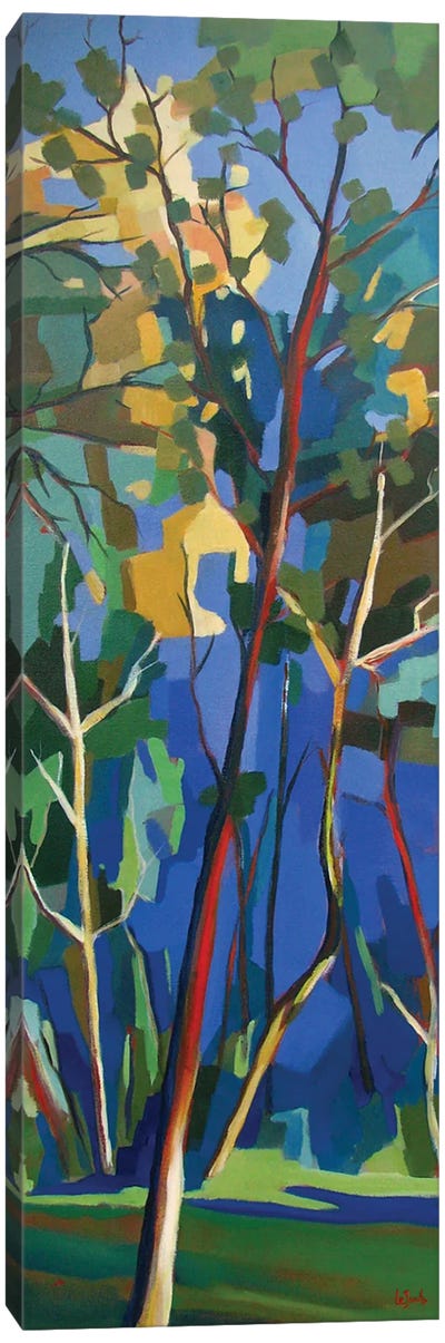 Pine Grove Canvas Art Print - Jean-Noel Le Junter
