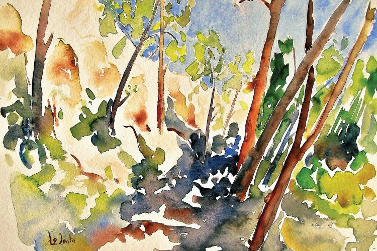 Pine Forest In Southern France by Jean-Noel Le Junter wall art