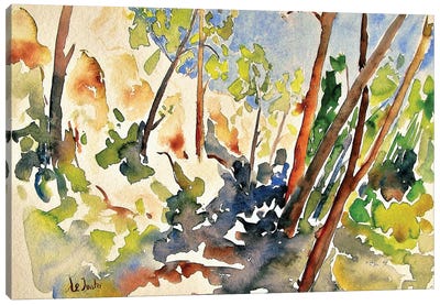 Pine Forest In Southern France Canvas Art Print - Jean-Noel Le Junter