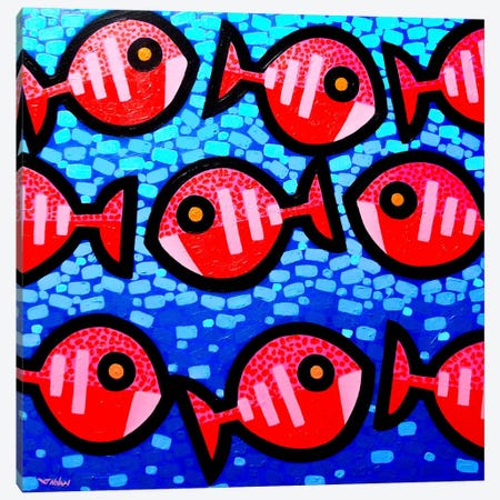 9 Happy Fish Canvas Print #JNN1} by John Nolan Canvas Print