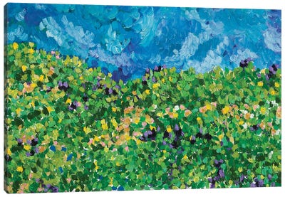 Summer Fields Near Saniac Canvas Art Print - Jon Parlangeli