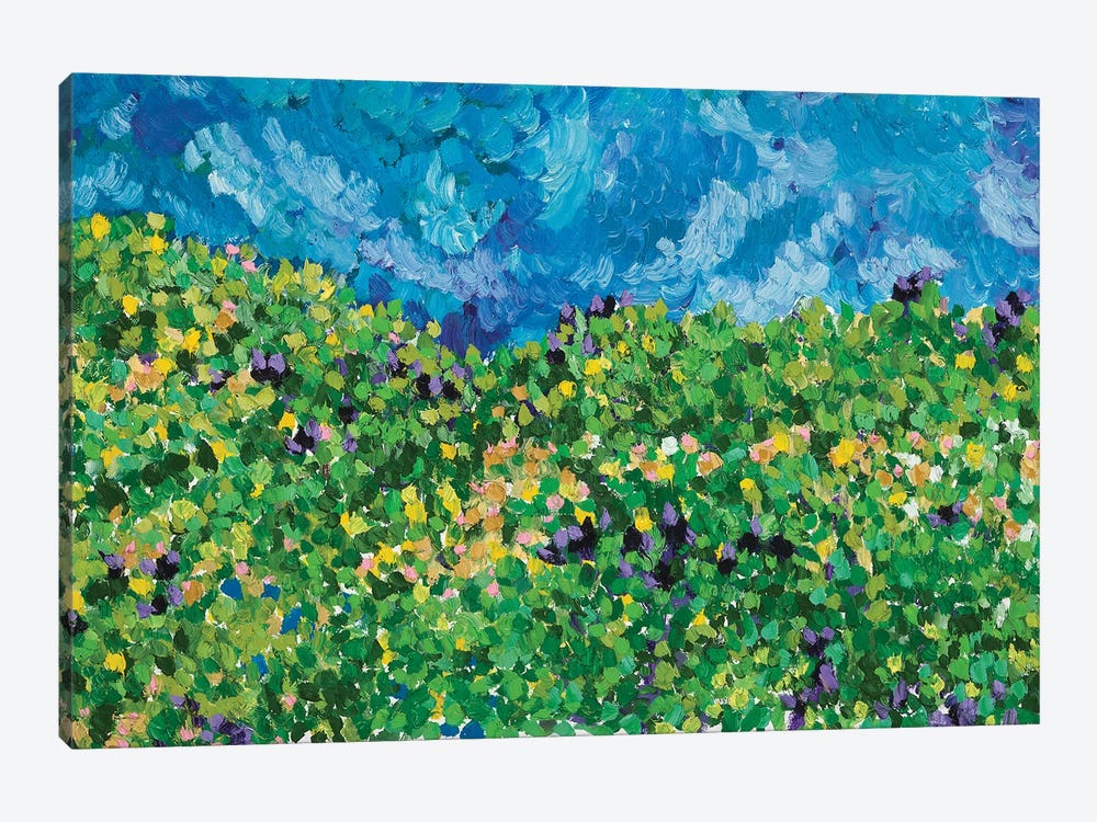 Summer Fields Near Saniac by Jon Parlangeli 1-piece Canvas Artwork